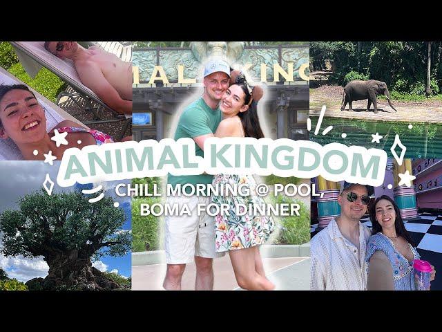 Day 2   | WALT DISNEY WORLD | Animal Kingdom & ALOT of Merchandise Shopping