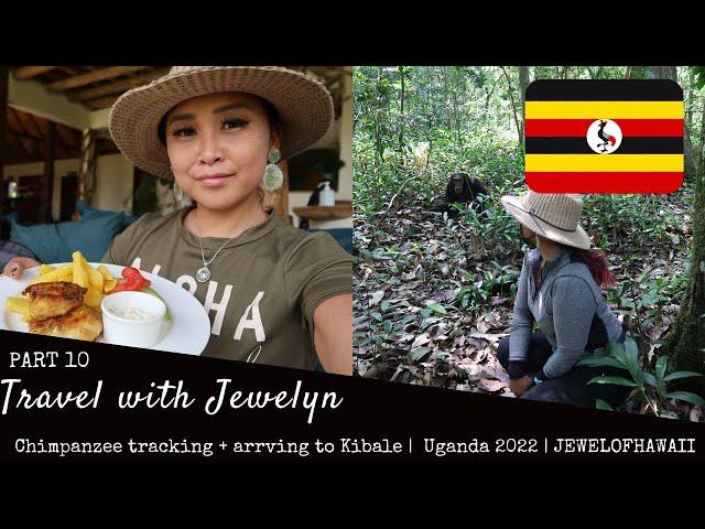 Chimpanzee tracking + Arriving to Kibale | Uganda 2022 | Travel with Jewelyn | JEWELOFHAWAII