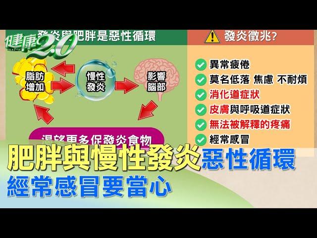 肥胖與慢性發炎是惡性循環 經常感冒要當心 健康2.0