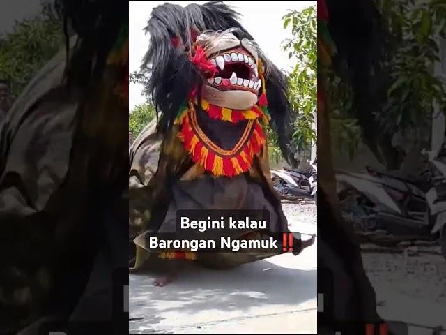 Begini kalau Barongan Ngamuk ‼️ #shorts #barongan #barong #jaranan #jathilan #bantengan