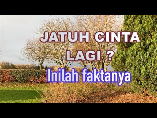 JATUH CINTA LAGI ? KOK BISA?