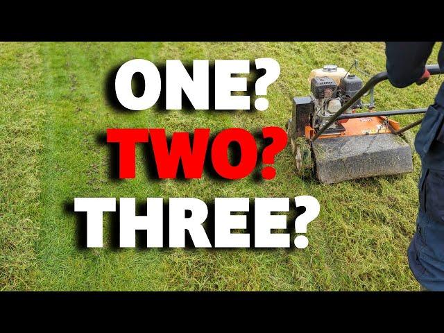 How often do you need to renovate your lawn