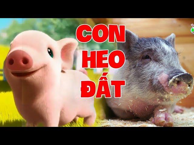 Con Heo Đất, Con Lợn Éc, Chú Ếch Con ️ Nhạc Thiếu Nhi Hay Sôi Động Hấp Dẫn Cho Bé Năng Động