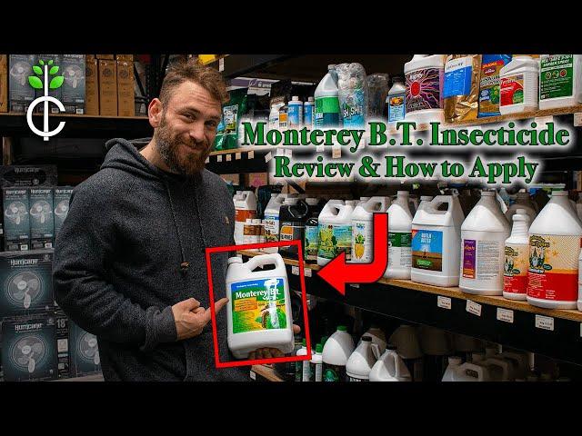 Monterey B.T. Insecticide Review and How to Use