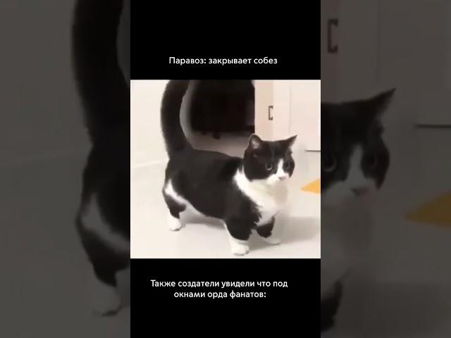 жиза для фанатов Собеза #собез