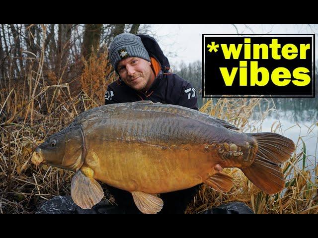 Winterangeln im Januar auf Karpfen mit Mathis Korn am Baggersee I DAIWA I DYNAMITE BAITS