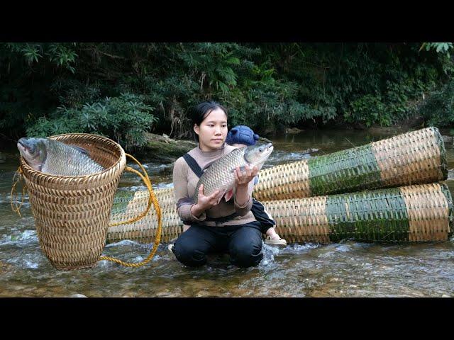 Single mother and baby - using giant bamboo cage to trap fish, catching many big fish