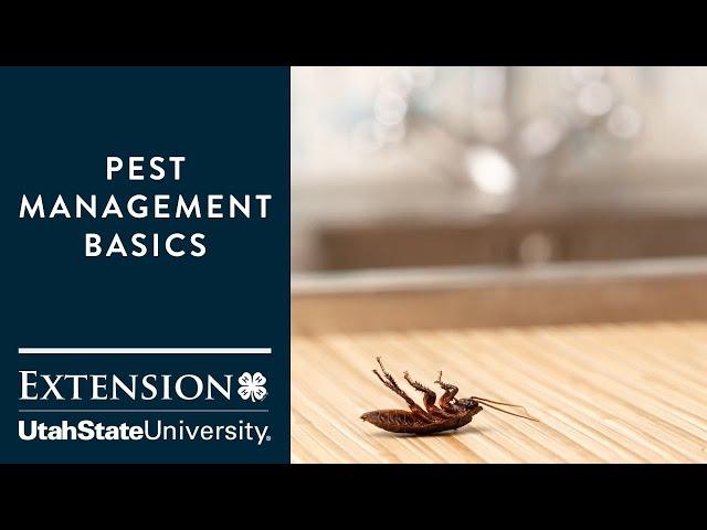 Pest Management Basics