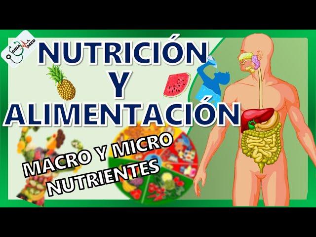 CONCEPTOS BÁSICOS DE NUTRICIÓN Y ALIMENTACIÓN | GuiaMed