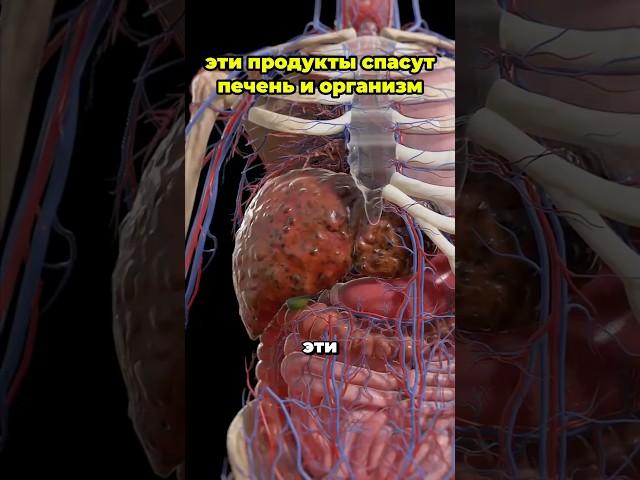 Эти продукты спасут печень и организм #народнаямедицина #рецепты #вред #травы #рецепт #здоровье