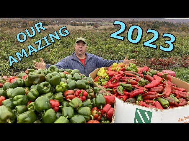 A VEGETABLE FARMERS 2023 FROM PLANTING TO HARVEST