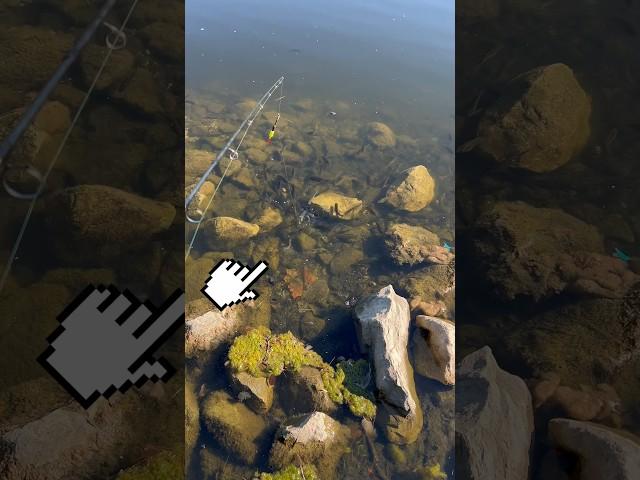CAUGHT A Fish INSTANTLY (.0002 Seconds)!!  #shorts #fishing