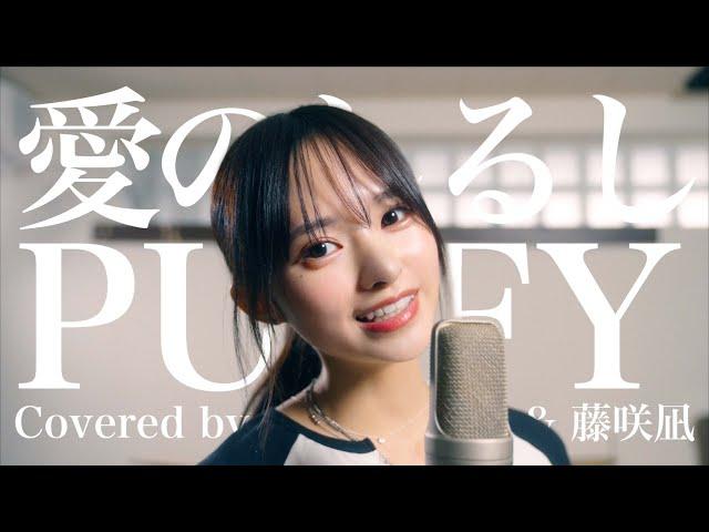 愛のしるし / PUFFY (Covered by コバソロ & 藤咲凪)