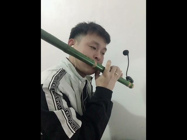 Tiếng gọi vùng cao - sáo mèo c5