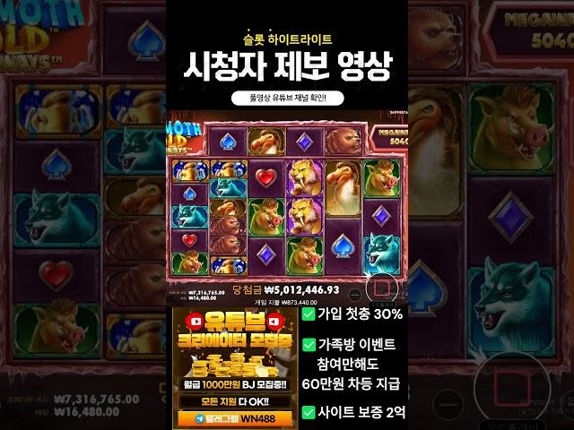 [슬롯][slot][슬롯머신] MOMMOTH GOLD슬롯게임! BIG WIN 시청자 제보 영상!