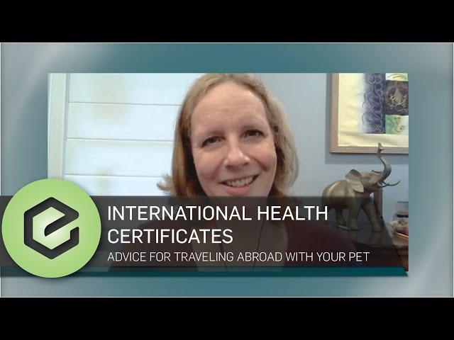 Traveling Abroad With Your Pet? A Veterinarian's Advice on International Health Certificates