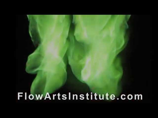 FSP Video 2  - Fire Science