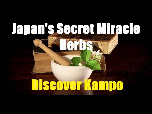 Healing Herbs of Japan - A Journey into Kampo Medicine | Pure Holistic Harmony