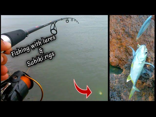 Trevally Fishing in Goa with lures & Sabiki Rigs  #goafishing # indiafishing