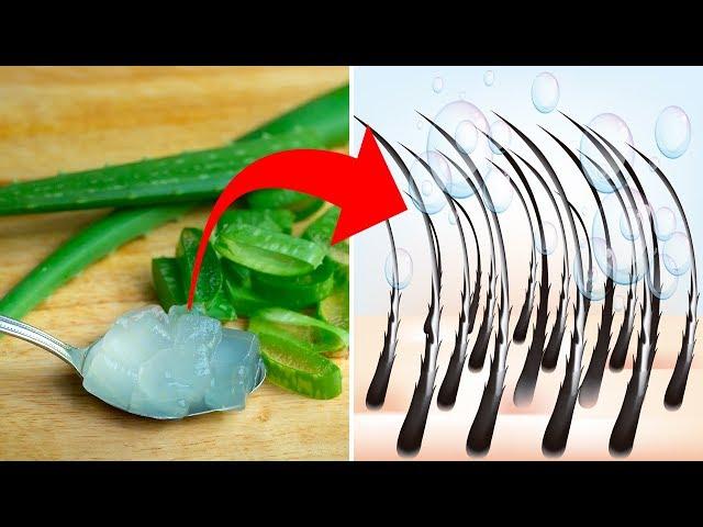 This is Why You Need To Use Aloe Vera On Your Hair