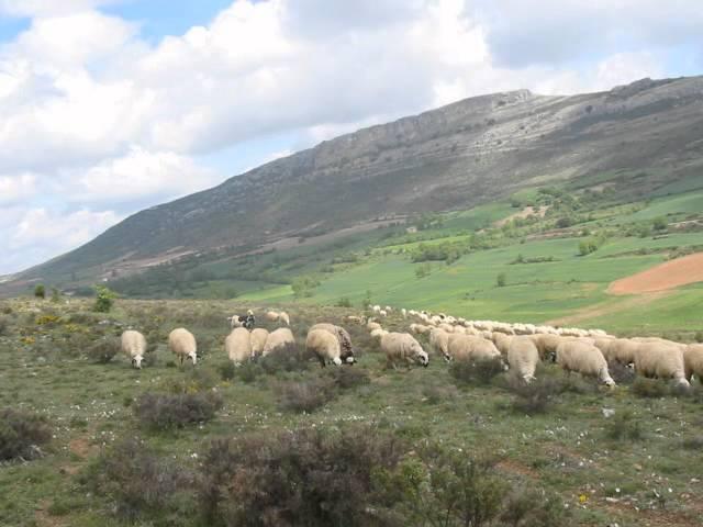 Ganaderos de Villagarcía de Campos