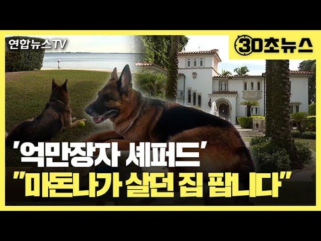 [30초뉴스] 미 억만장자 셰퍼드 "마돈나 살던 집 팝니다" / 연합뉴스TV (YonhapnewsTV)