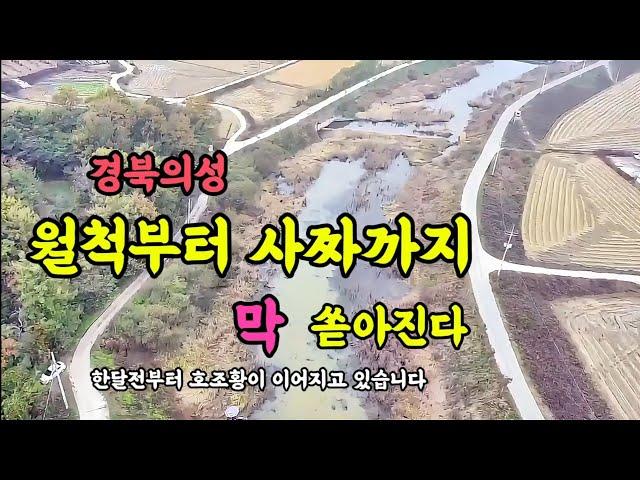 경북의성 구천수로에서 월척부터 사짜붕어 가 막 쏟아집니다 #붕어낚시