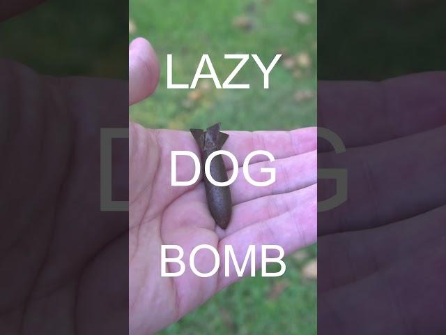 The World's Smallest Bomb #militaria