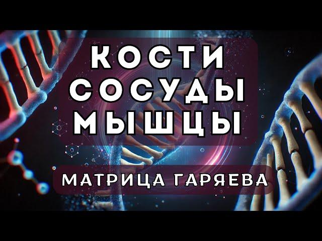 Исцеляющая Матрица | Исцеление Костей, Сосудов и Мышц | Мощная Программа для Восстановления Тела