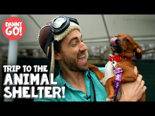 Animal Shelter Field Trip  | Dog Videos For Kids | Danny Go!