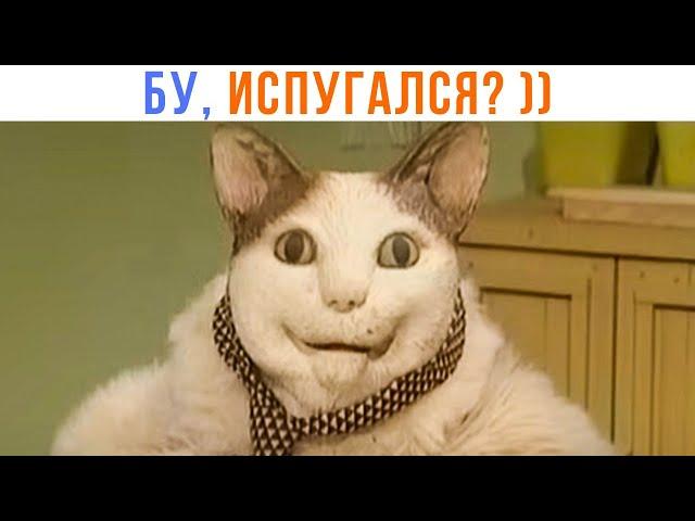 БУ, ИСПУГАЛСЯ? НЕ БОЙСЯ, Я ДРУГ ))) | Приколы | Мемозг 1520