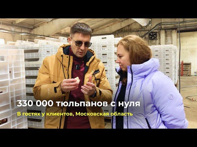 В гостях у клиентов | Московская область | 330.000 тюльпанов с нуля