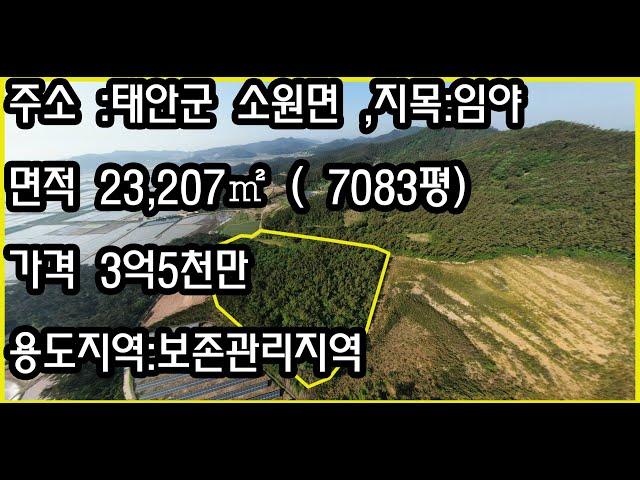 태안군 소원면임야  7083평 보존관리 평당5만,조절가능 ,삼담전화   그린공인중개사  황규섭  010-6754-8945