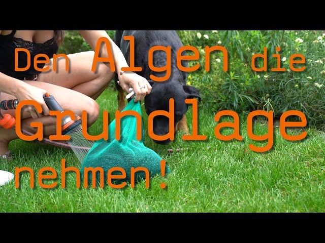 Phosphatentferner für den effektiven Algenschutz! Klares Teichwasser mit GETEISA® Phos Minus