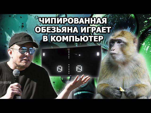 Elon Musk’s monkey with a Neuralink chip is playing Mind Pong |in Russian|