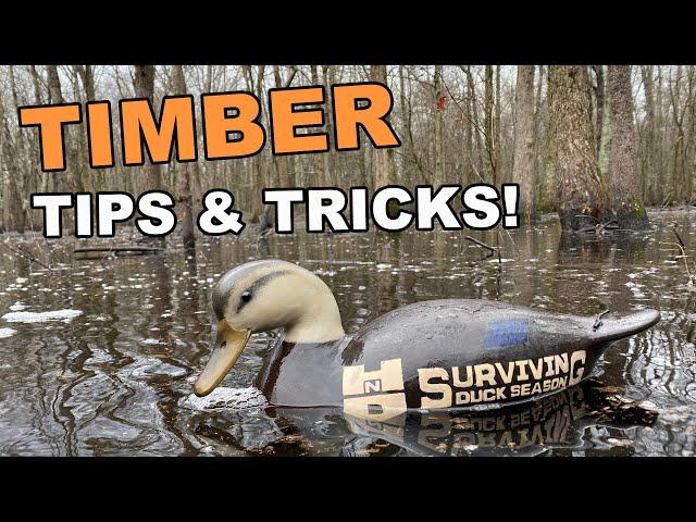 Flooded Timber Duck Hunting Tips | How to call ducks