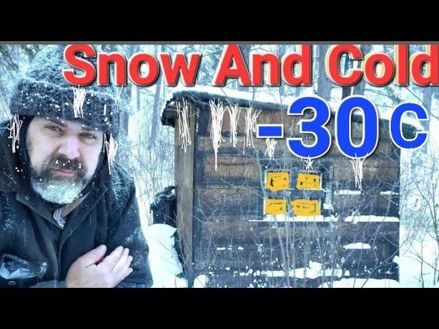 Surviving The Snow And Cold In A Off-Grid Cabin! -30 Celsius