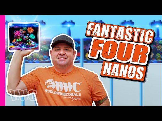 4 Jaw-Dropping Nano Tank Designs & Updates!