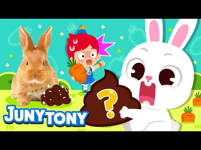  Rabbits Eat Their Poo | Hippity-Hoppity! The Year of the Rabbit | Animal Songs for Kids | JunyTony