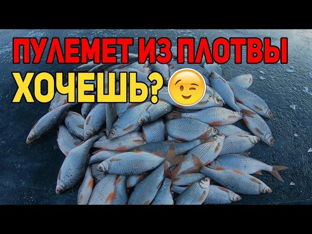 Ловля плотвы. Как найти плотву зимой?