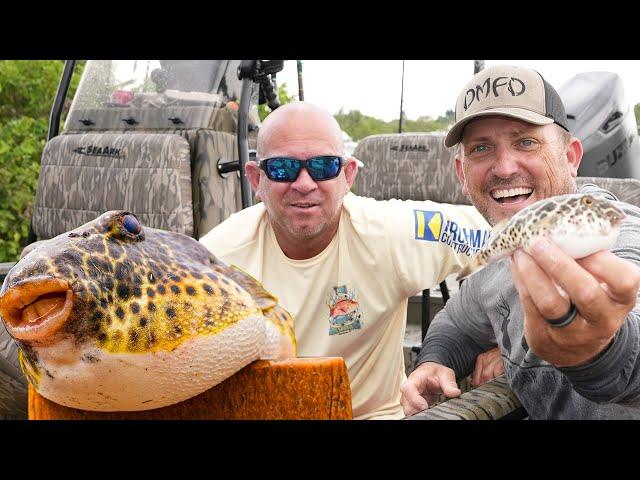 Fishing for FUGU! {Catch Clean Cook} JOEY'S BACK