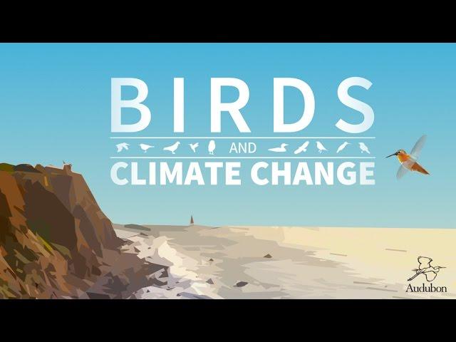 Climate Change and Birds