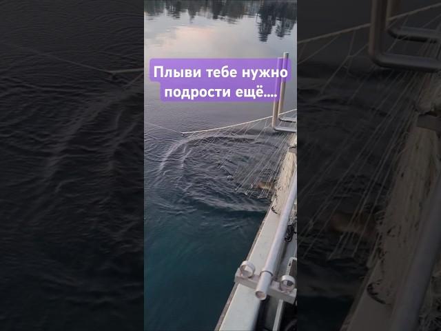 Все по чесному только мерные.... #рыбалканаозере #женева #рыбалка
