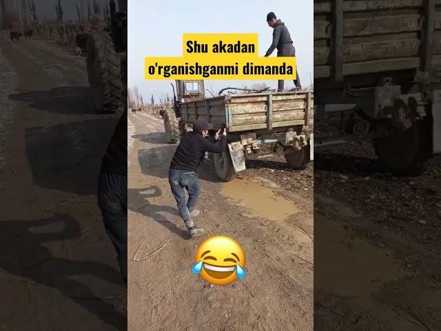 Kulguli video'lar. Obuna bo'lishni unutmang ️