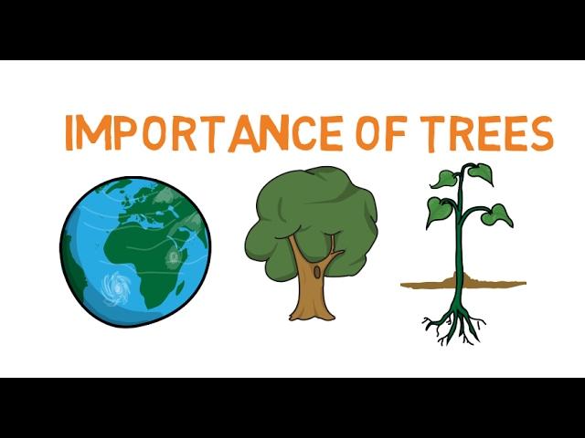 Importance of trees - Facts about trees for kids - Why do we need trees - Simply E-learn kids