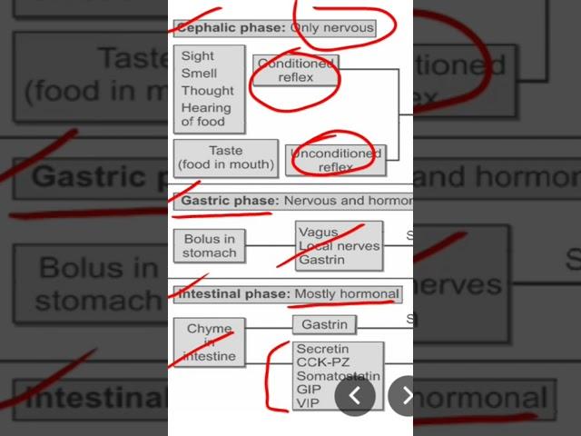 Intestinal phase of gastric secretion