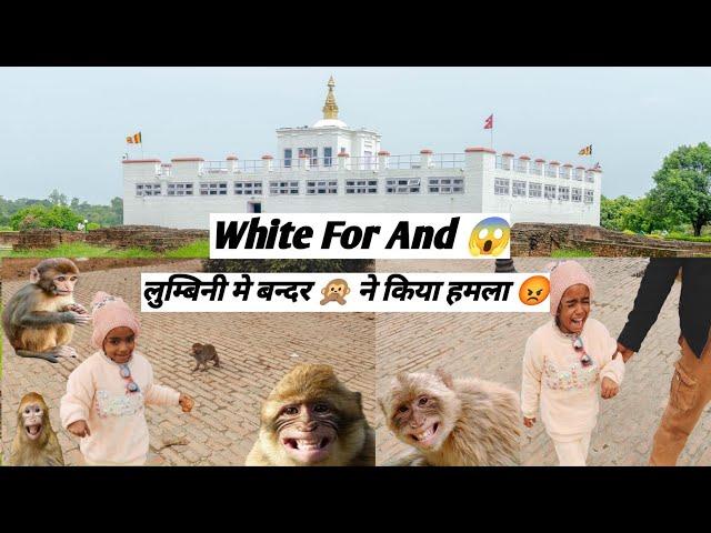 Lumbani Me Bandaro  Ne Kiya Hamla  My Fast Vlogs लुम्बिनी में बंदरो ने किया हमला Angry Langur 