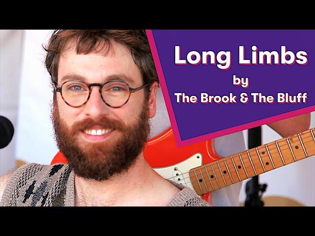 The Brook & The Bluff - Long Limbs  |  FairWell Festival  |  JoyRx Music