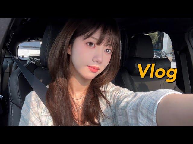 vlog 친구들과 해외여행 계획•조카랑 할머니랑 송편 만들기•여행짐싸기