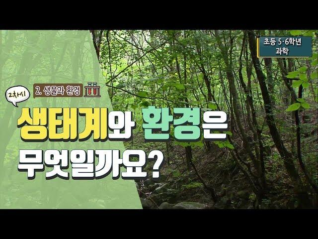 [초등 과학 5-2] 2. 생물과 환경 - 2차시 생태계란 무엇일까요?